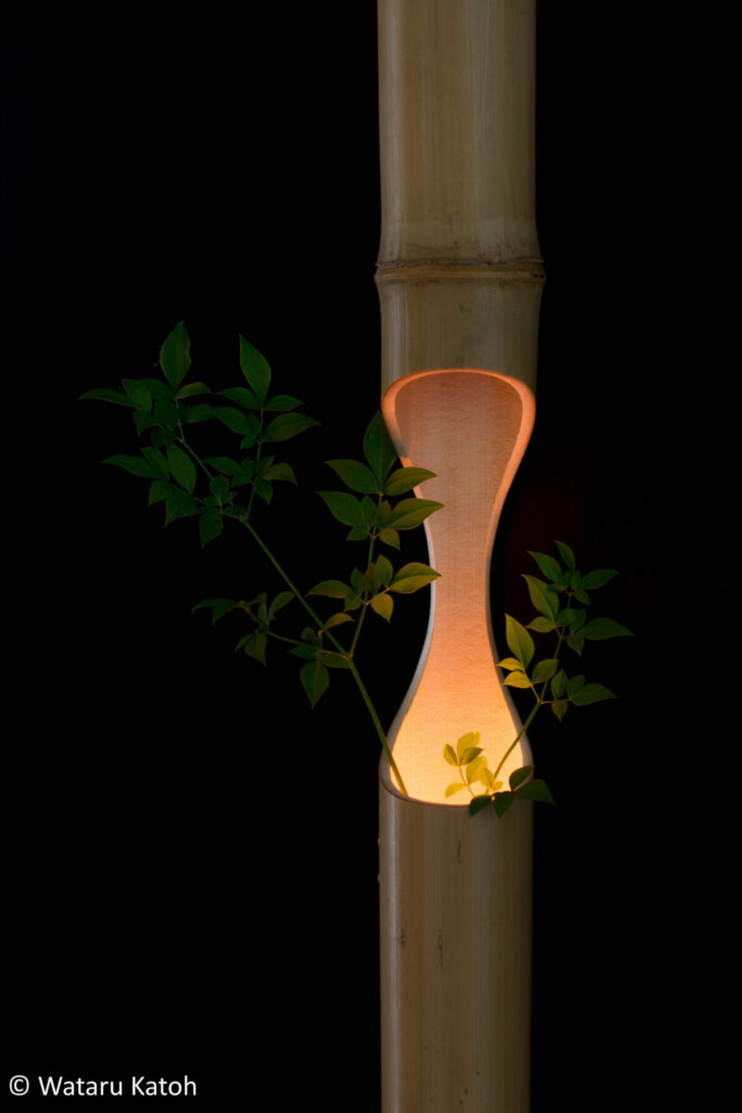 加藤渉「Infinity」