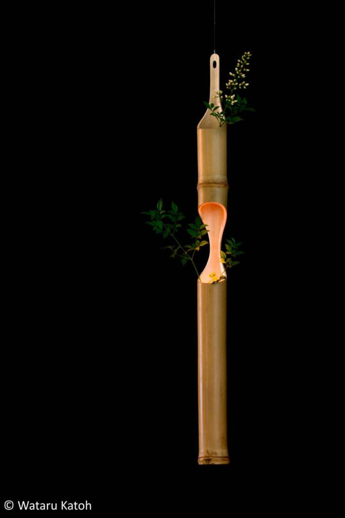 加藤渉「Infinity」